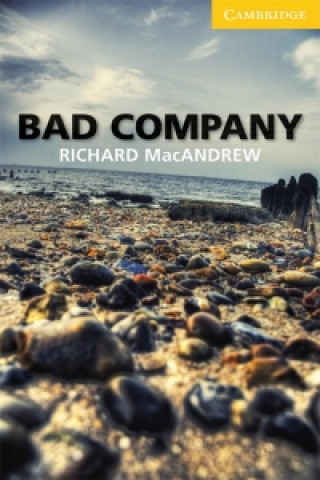 Книга Bad Company Richard MacAndrew