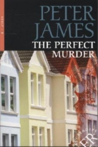 Carte The Perfect Murder Peter James