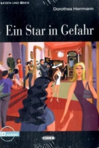 Kniha Ein Star in Gefahr, m. Audio-CD Dorothea Herrmann