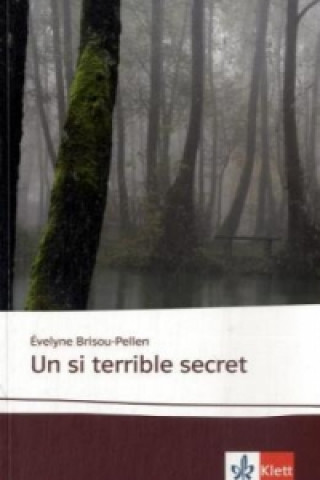 Carte Un si terrible secret Évelyne Brisou-Pellen