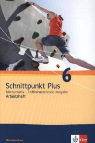 Kniha Schnittpunkt Plus Mathematik 6. Differenzierende Ausgabe Niedersachsen 