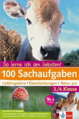 Kniha Klett 100 Sachaufgaben 3./4. Klasse Kirsten Usemann