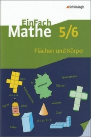 Buch Flächen und Körper, 5./6. Klasse 