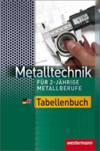 Kniha Metalltechnik für 2-jährige Metallberufe Dietmar Falk