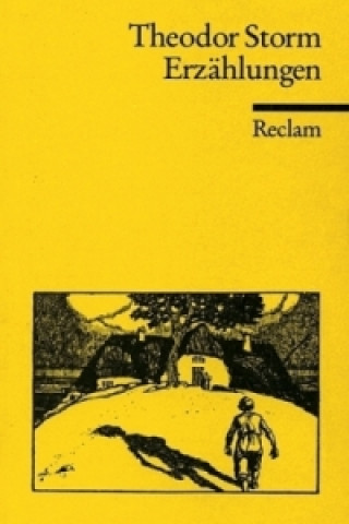 Buch Erzählungen Theodor Storm