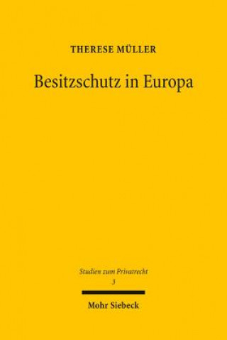 Book Besitzschutz in Europa Therese Müller