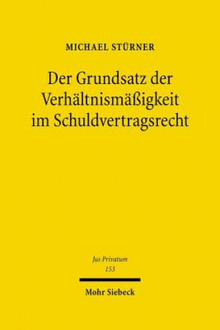 Könyv Der Grundsatz der Verhaltnismassigkeit im Schuldvertragsrecht Michael Stürner