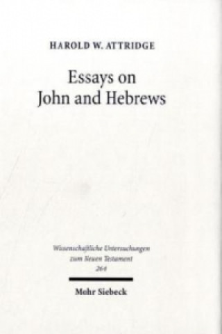 Kniha Essays on John and Hebrews Harold W. Attridge