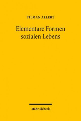 Kniha Elementare Formen sozialen Lebens Tilman Allert