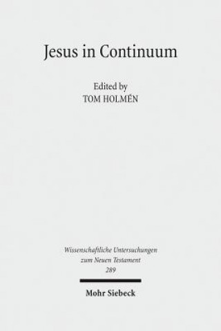 Könyv Jesus in Continuum Tom Holmén