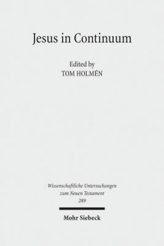 Kniha Jesus in Continuum Tom Holmén