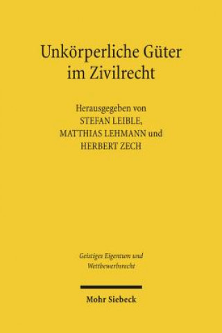 Könyv Unkoerperliche Guter im Zivilrecht Stefan Leible