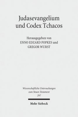 Könyv Judasevangelium und Codex Tchacos Enno-Edzard Popkes
