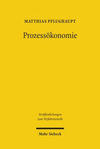 Livre Prozessoekonomie Matthias Pflughaupt