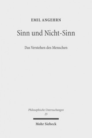 Kniha Sinn und Nicht-Sinn Emil Angehrn