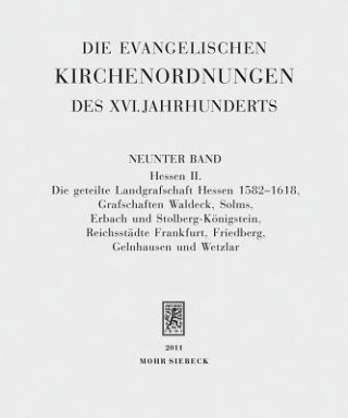 Könyv Die evangelischen Kirchenordnungen des XVI. Jahrhunderts Sabine Arend