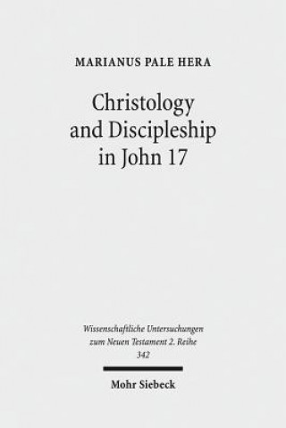 Könyv Christology and Discipleship in John 17 Marianus Pale Hera