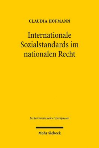 Kniha Internationale Sozialstandards im nationalen Recht Claudia Hofmann