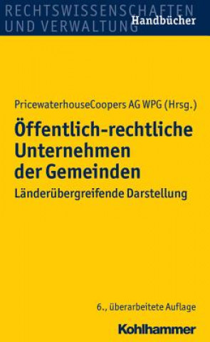 Kniha Öffentlich-rechtliche Unternehmen der Gemeinden Heinz Bolsenkötter