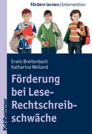 Kniha Förderung bei Lese-Rechtschreibschwäche Erwin Breitenbach