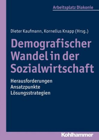 Kniha Demografischer Wandel in der Sozialwirtschaft - Herausforderungen, Ansatzpunkte, Lösungsstrategien Dieter Kaufmann