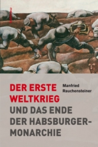 Könyv Der Erste Weltkrieg Manfried Rauchensteiner