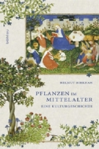 Książka Pflanzen im Mittelalter Helmut Birkhan