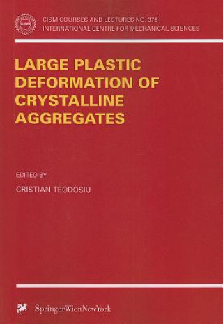 Kniha Large Plastic Deformation of Crystalline Aggregates Cristian Teodosiu