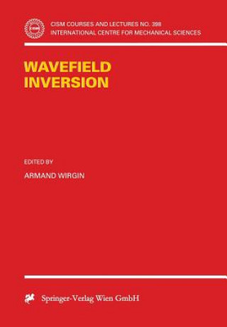 Knjiga Wavefield Inversion Armand Wirgin