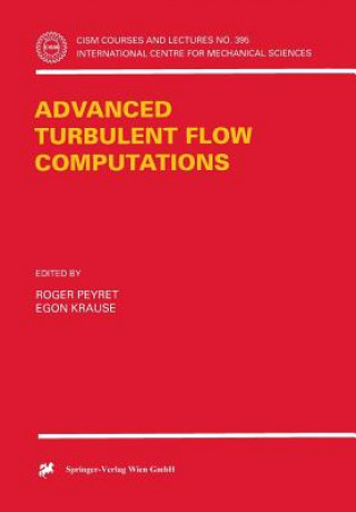 Kniha Advanced Turbulent Flow Computations Roger Peyret