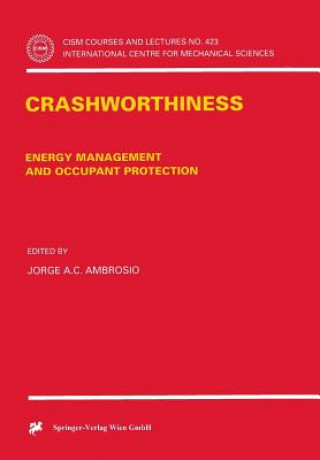 Könyv Crashworthiness Jorge A. C. Ambrósio