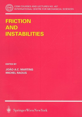 Kniha Friction and Instabilities Joao Martinis