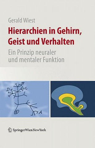 Kniha Hierarchien in Gehirn, Geist Und Verhalten Gerald Wiest