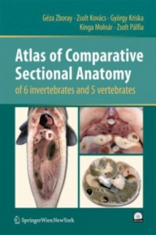 Carte Atlas of Comparative Sectional Anatomy of 6 invertebrates and 5 vertebrates Géza Zboray