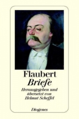 Kniha Briefe Gustave Flaubert