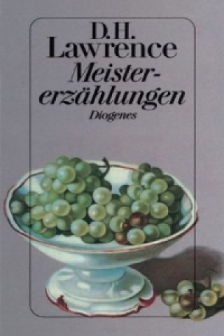 Kniha Meistererzählungen David H. Lawrence