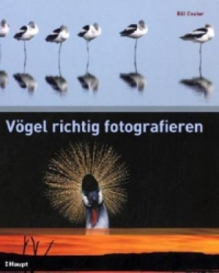 Книга Vögel richtig fotografieren Bill Coster