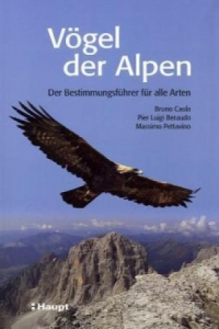 Book Vögel der Alpen Bruno Caula