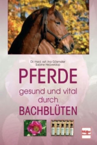 Carte Pferde  -  gesund und vital durch Bachblüten Ina Gösmeier