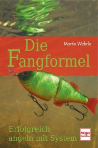 Livre Die Fangformel Martin Wehrle