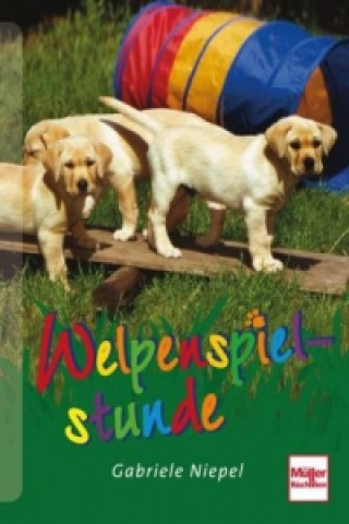 Buch Welpenspielstunde Gabriele Niepel