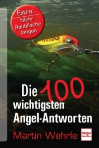 Könyv Die 100 wichtigsten Angel-Antworten Martin Wehrle