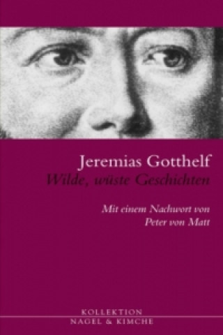 Kniha Wilde, wüste Geschichten Jeremias Gotthelf