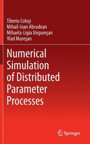 Kniha Numerical Simulation of Distributed Parameter Processes Tiberiu Colosi