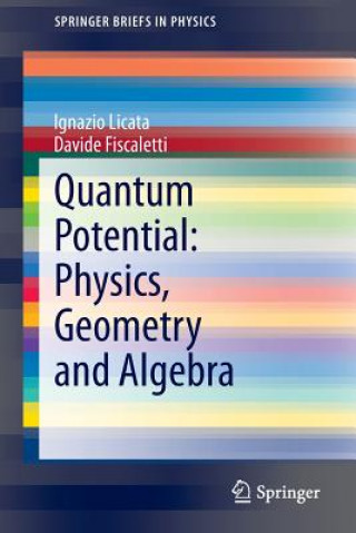 Carte Quantum Potential: Physics, Geometry and Algebra Ignazio Licata