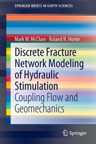 Libro Discrete Fracture Network Modeling of Hydraulic Stimulation Mark W. McClure