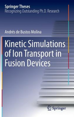Kniha Kinetic Simulations of Ion Transport in Fusion Devices Andres de Bustos Molina