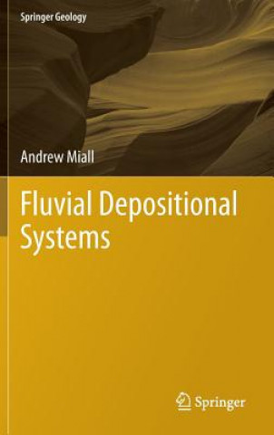 Livre Fluvial Depositional Systems Andrew D. Miall