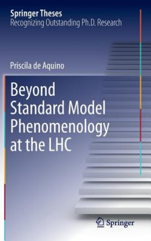 Könyv Beyond Standard Model Phenomenology at the LHC Priscila de Aquino