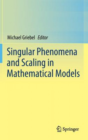 Libro Singular Phenomena and Scaling in Mathematical Models Michael Griebel